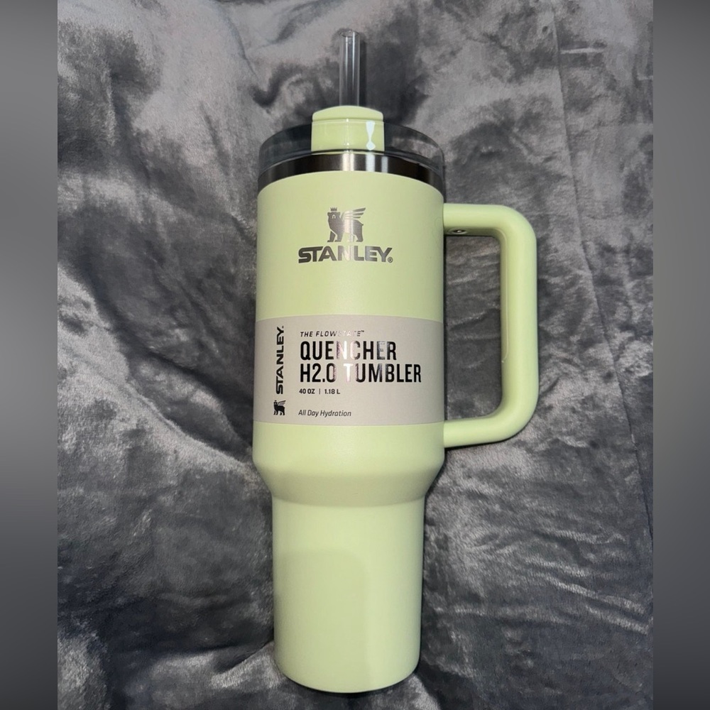 Stanley 40 oz Tumbler Pale Lime Target exclusive